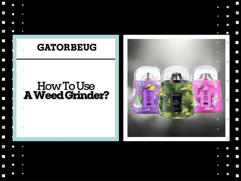 How To Use A Weed Grinder? - Gatorbeug
