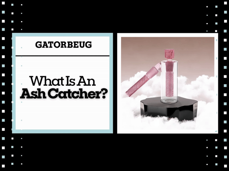 What Is An Ash Catcher?  Gatorbeug
