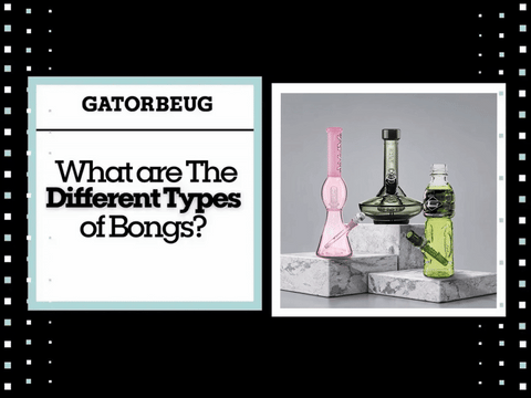 What are The Different Types of Bongs?