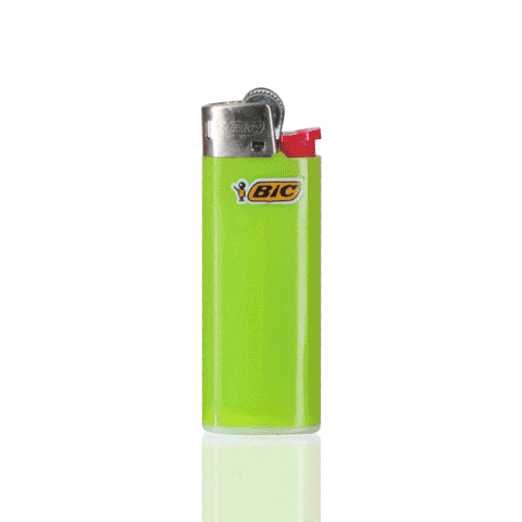 BIC Mini Lighter - Green