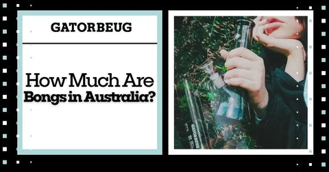 How Much Are Bongs in Australia?' text and a person holding a Gatorbeug bong.