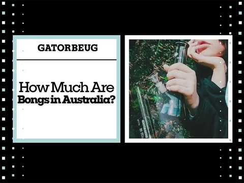 How Much Are Bongs in Australia?
