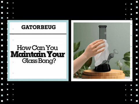 Maintain  the cleanliness of your Glass Bong
