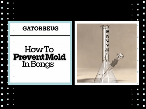How To Prevent Mold In Bongs