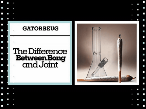 The Difference Between Bong and Joint