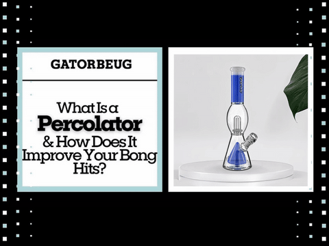 What Is a Percolator and How Does It Improve Your Bong Hits?