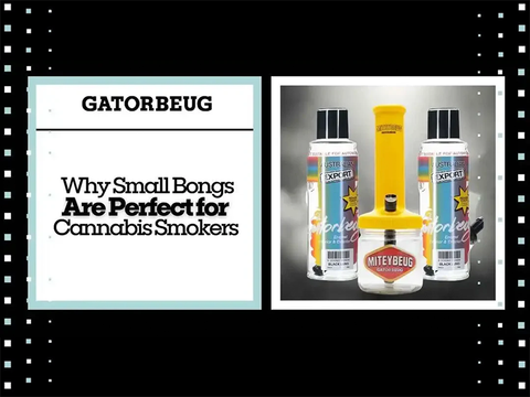 Why Small Bongs Are Perfect for Cannabis Smokers