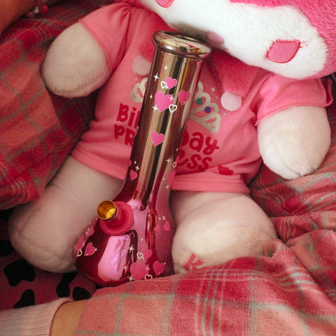 Bong Warehouse Chrome Hearts Beaker Bong 20cm in Pink and Melody Stuffed Toy