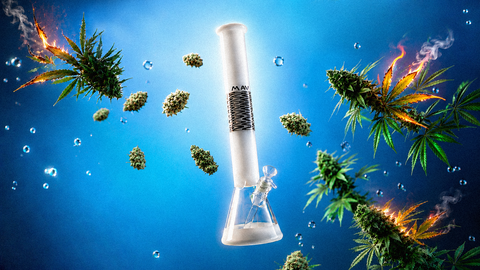 Gatorbeug_Big_Bongs_Web_Banner