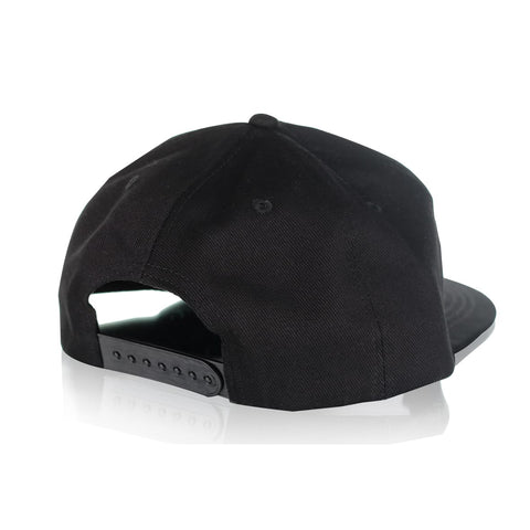 Science Hat Black Back